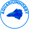 aquariumhobby.be